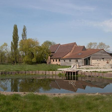Landelijk Vakantiehuis In Diksmuide Met Een Tuin En Vijver Екстериор снимка